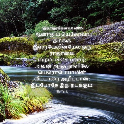 Picture 04 - 1 இராஜாக்கள் 14:14 TAMIRV - ஆனாலும் யெகோவா - Bible Verse Picture