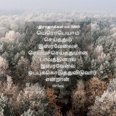 Picture 04 - 1 இராஜாக்கள் 14:16 TAMIRV - யெரொபெயாம் - Bible Verse Picture