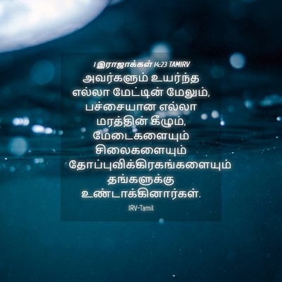 Picture 04 - 1 இராஜாக்கள் 14:23 TAMIRV - அவர்களும் உயர்ந்த - Bible Verse Picture
