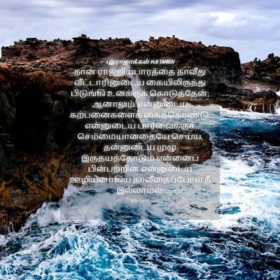 Picture 04 - 1 இராஜாக்கள் 14:8 TAMIRV - நான் - Bible Verse Picture