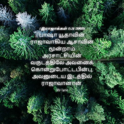 Picture 04 - 1 இராஜாக்கள் 15:28 TAMIRV - பாஷா யூதாவின் - Bible Verse Picture