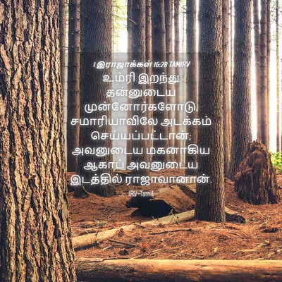 Picture 04 - 1 இராஜாக்கள் 16:28 TAMIRV - உம்ரி இறந்து - Bible Verse Picture