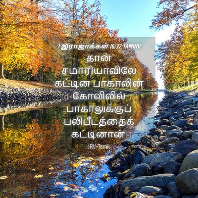 Picture 04 - 1 இராஜாக்கள் 16:32 TAMIRV - தான் சமாரியாவிலே - Bible Verse Picture