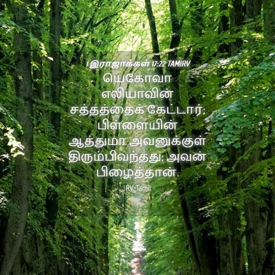 Picture 04 - 1 இராஜாக்கள் 17:22 TAMIRV - யெகோவா எலியாவின் - Bible Verse Picture