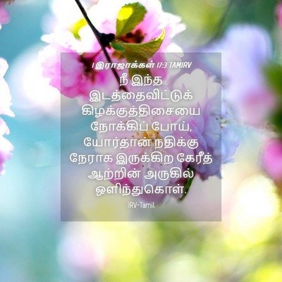 Picture 04 - 1 இராஜாக்கள் 17:3 TAMIRV - நீ இந்த - Bible Verse Picture