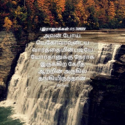 Picture 04 - 1 இராஜாக்கள் 17:5 TAMIRV - அவன் போய், - Bible Verse Picture