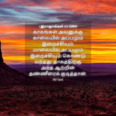 Picture 04 - 1 இராஜாக்கள் 17:6 TAMIRV - காகங்கள் அவனுக்கு - Bible Verse Picture