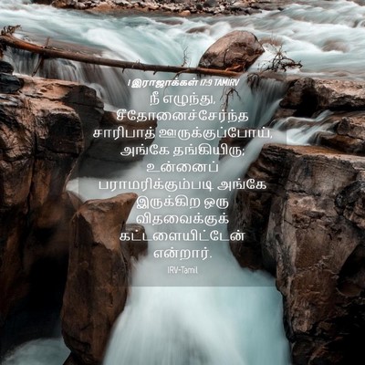 Picture 04 - 1 இராஜாக்கள் 17:9 TAMIRV - நீ எழுந்து, - Bible Verse Picture