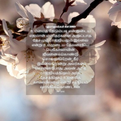 Picture 04 - 1 இராஜாக்கள் 18:10 TAMIRV - உம்மைத் தேடும்படி - Bible Verse Picture