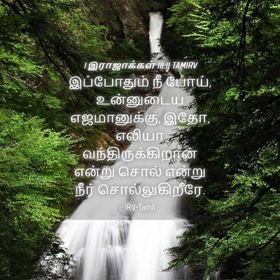Picture 04 - 1 இராஜாக்கள் 18:11 TAMIRV - இப்போதும் நீ போய், - Bible Verse Picture
