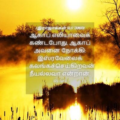 Picture 04 - 1 இராஜாக்கள் 18:17 TAMIRV - ஆகாப் எலியாவைக் - Bible Verse Picture
