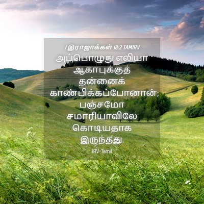 Picture 04 - 1 இராஜாக்கள் 18:2 TAMIRV - அப்பொழுது எலியா - Bible Verse Picture