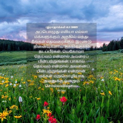 Picture 04 - 1 இராஜாக்கள் 18:21 TAMIRV - அப்பொழுது எலியா - Bible Verse Picture