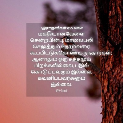 Picture 04 - 1 இராஜாக்கள் 18:29 TAMIRV - மத்தியானவேளை - Bible Verse Picture