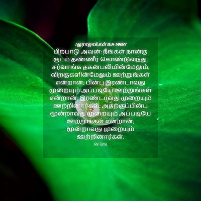 Picture 04 - 1 இராஜாக்கள் 18:34 TAMIRV - பிற்பாடு அவன்: - Bible Verse Picture