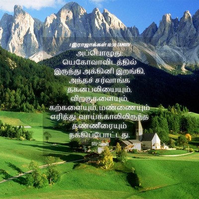 Picture 04 - 1 இராஜாக்கள் 18:38 TAMIRV - அப்பொழுது: - Bible Verse Picture