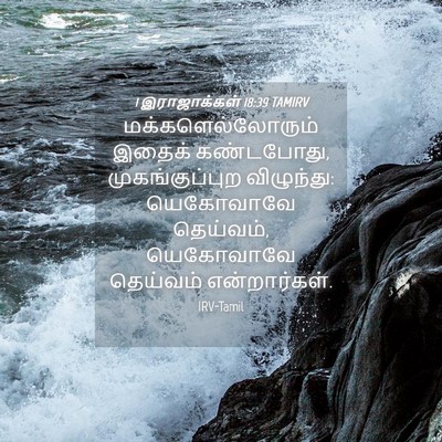 Picture 04 - 1 இராஜாக்கள் 18:39 TAMIRV - மக்களெல்லோரும் - Bible Verse Picture