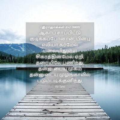 Picture 04 - 1 இராஜாக்கள் 18:42 TAMIRV - ஆகாப் சாப்பிட்டு - Bible Verse Picture