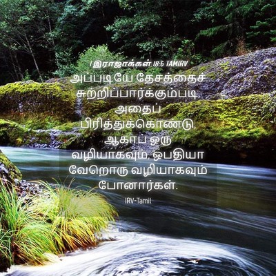 Picture 04 - 1 இராஜாக்கள் 18:6 TAMIRV - அப்படியே - Bible Verse Picture