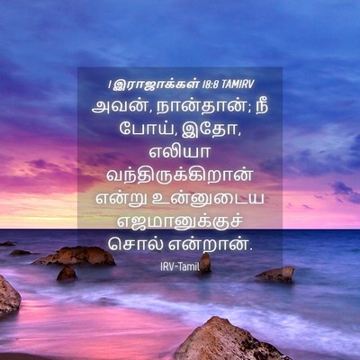 Picture 04 - 1 இராஜாக்கள் 18:8 TAMIRV - அவன், நான்தான்; நீ - Bible Verse Picture