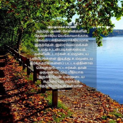 Picture 04 - 1 இராஜாக்கள் 19:10 TAMIRV - அதற்கு அவன்: - Bible Verse Picture