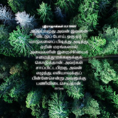 Picture 04 - 1 இராஜாக்கள் 19:21 TAMIRV - அப்பொழுது அவன் - Bible Verse Picture