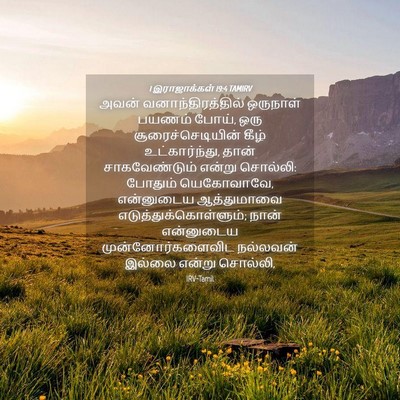 Picture 04 - 1 இராஜாக்கள் 19:4 TAMIRV - அவன் - Bible Verse Picture