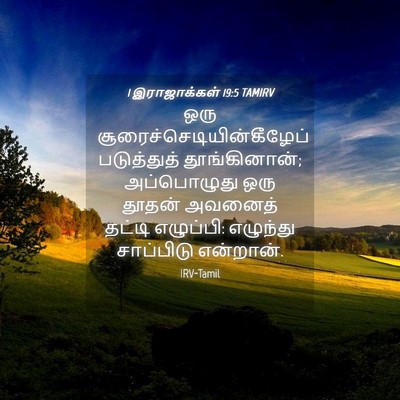 Picture 04 - 1 இராஜாக்கள் 19:5 TAMIRV - ஒரு - Bible Verse Picture