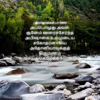 Picture 04 - 1 இராஜாக்கள் 2:21 TAMIRV - அப்பொழுது அவள்: - Bible Verse Picture