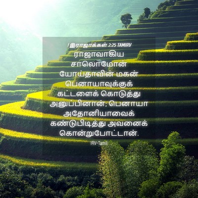 Picture 04 - 1 இராஜாக்கள் 2:25 TAMIRV - ராஜாவாகிய - Bible Verse Picture
