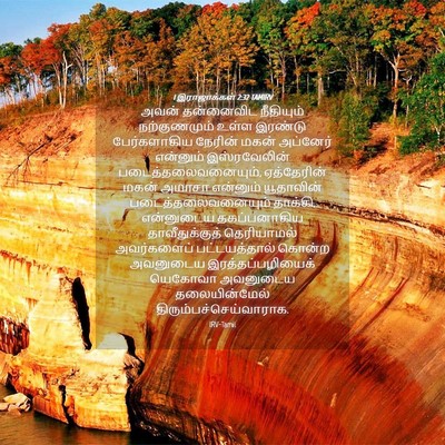 Picture 04 - 1 இராஜாக்கள் 2:32 TAMIRV - அவன் தன்னைவிட - Bible Verse Picture