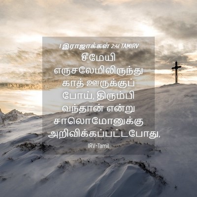 Picture 04 - 1 இராஜாக்கள் 2:41 TAMIRV - சீமேயி - Bible Verse Picture