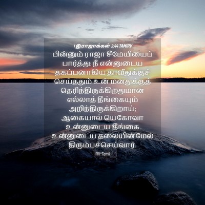 Picture 04 - 1 இராஜாக்கள் 2:44 TAMIRV - பின்னும் ராஜா - Bible Verse Picture
