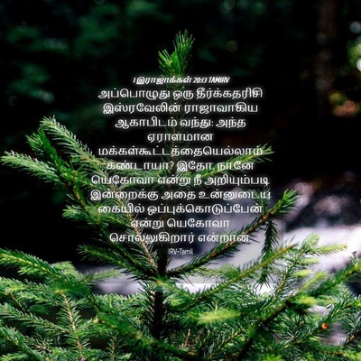 Picture 04 - 1 இராஜாக்கள் 20:13 TAMIRV - அப்பொழுது ஒரு - Bible Verse Picture