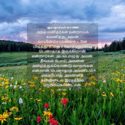 Picture 04 - 1 இராஜாக்கள் 20:33 TAMIRV - அந்த மனிதர்கள் - Bible Verse Picture