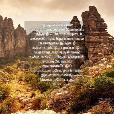 Picture 04 - 1 இராஜாக்கள் 20:36 TAMIRV - அப்பொழுது அவன் - Bible Verse Picture