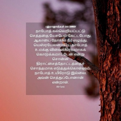 Picture 04 - 1 இராஜாக்கள் 21:15 TAMIRV - நாபோத் - Bible Verse Picture