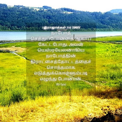 Picture 04 - 1 இராஜாக்கள் 21:16 TAMIRV - நாபோத் - Bible Verse Picture
