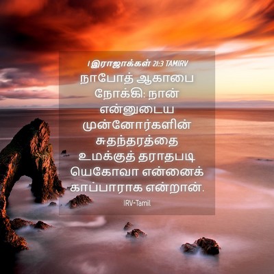 Picture 04 - 1 இராஜாக்கள் 21:3 TAMIRV - நாபோத் ஆகாபை - Bible Verse Picture
