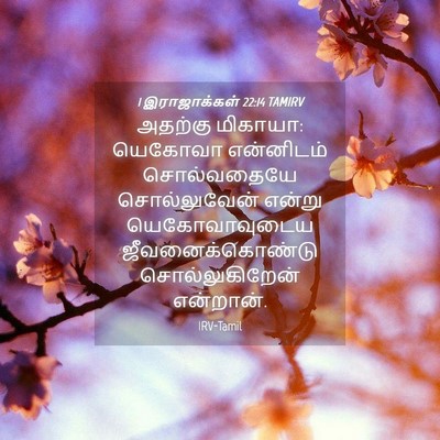 Picture 04 - 1 இராஜாக்கள் 22:14 TAMIRV - அதற்கு மிகாயா: - Bible Verse Picture