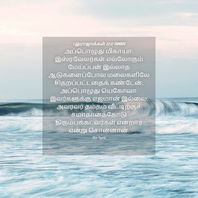 Picture 04 - 1 இராஜாக்கள் 22:17 TAMIRV - அப்பொழுது மிகாயா: - Bible Verse Picture