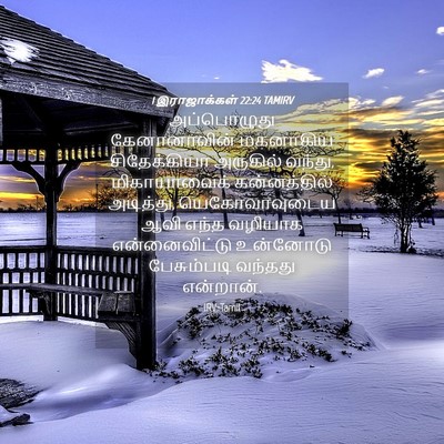 Picture 04 - 1 இராஜாக்கள் 22:24 TAMIRV - அப்பொழுது - Bible Verse Picture