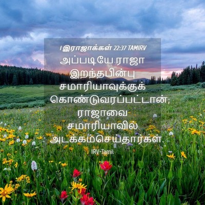 Picture 04 - 1 இராஜாக்கள் 22:37 TAMIRV - அப்படியே ராஜா - Bible Verse Picture