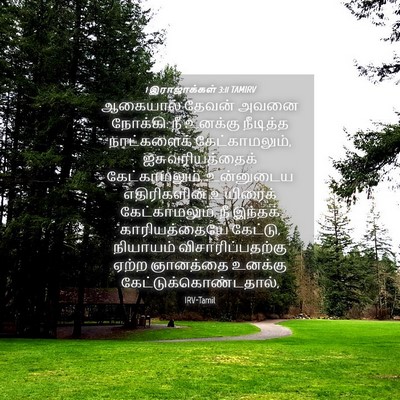 Picture 04 - 1 இராஜாக்கள் 3:11 TAMIRV - ஆகையால் தேவன் - Bible Verse Picture