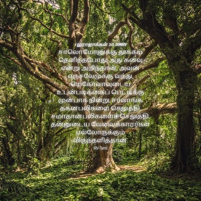 Picture 04 - 1 இராஜாக்கள் 3:15 TAMIRV - சாலொமோனுக்கு - Bible Verse Picture