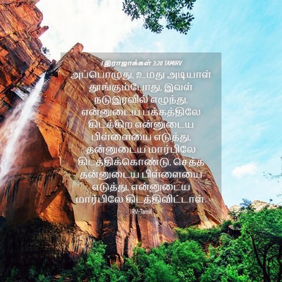 Picture 04 - 1 இராஜாக்கள் 3:20 TAMIRV - அப்பொழுது, உமது - Bible Verse Picture