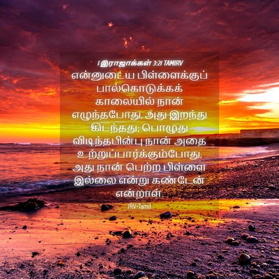 Picture 04 - 1 இராஜாக்கள் 3:21 TAMIRV - என்னுடைய - Bible Verse Picture