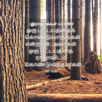 Picture 04 - 1 இராஜாக்கள் 3:24 TAMIRV - ஒரு பட்டயத்தைக் - Bible Verse Picture