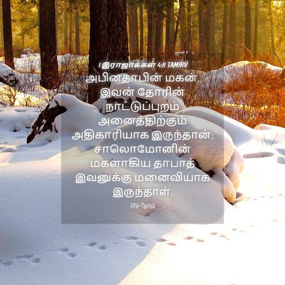 Picture 04 - 1 இராஜாக்கள் 4:11 TAMIRV - அபினதாபின் மகன், - Bible Verse Picture