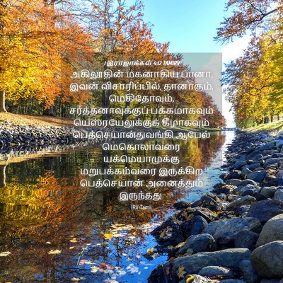 Picture 04 - 1 இராஜாக்கள் 4:12 TAMIRV - அகிலூதின் மகனாகிய - Bible Verse Picture